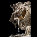 Glacial Planet detail 8x5 in.jpg